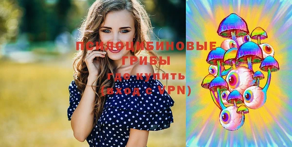 круглые Белокуриха